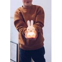 Miffy Bundle of Light