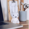 Miffy Bundle of Light
