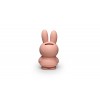 MIFFY POWDER MONEY BOX - 13.5 cm
