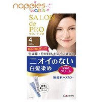 Special Sale - 2 bottles price --Dariya Foaming Hair Dye（Brown 4）