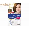 Special Sale - 2 bottles price --Dariya Foaming Hair Dye(Brown 4) Special Sale - 2 bottles price --Dariya Foaming Hair Dye(Brown 4)